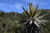 Private Hike • Chingaza Natural Park from Bogota • 10h