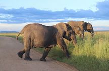 6-Day Soul of Tanzania Safari – All - Inclusive