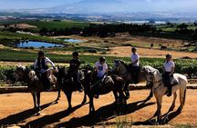 2h – Horse Trail