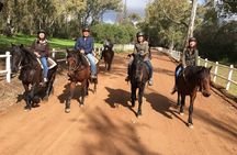 1h – Horse Trail