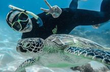 Green Island Day Trip from Cairns with City Transfers