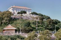 Vung Tau City Private Tour Full Day