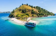 One day Komodo trip with Bintang Komodo Tours