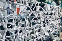 Family day in Nagoya with a local: private & personalized