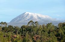 8 Days Mount Kilimanjaro Lemosho Route Climb