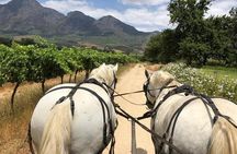 1h30m – Wine Tasting Carriage Trail