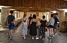 "Explore Saint-Émilion on e-Bikes: Small Group, half-Day Tour"