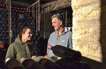 "Explore Saint-Émilion on e-Bikes: Small Group, half-Day Tour"