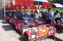 Private Tour Rail Bike & Nami Island & (Petite France or Garden of Morning Calm)