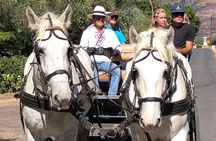 1h30m – Wine Tasting Carriage Trail