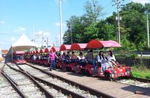 Private Tour Rail Bike & Nami Island & (Petite France or Garden of Morning Calm)