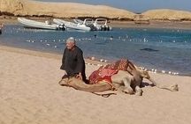 Sharm El Naga National Park water turtle house Full Day Snorkeling Trip-Hurghada