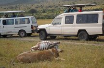  Nairobi park Tour 6.A.M-11.AM
