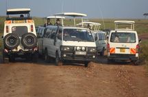  Day Tour Amboseli Park From Nairobi