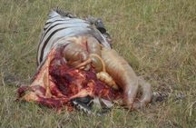  Nairobi park Tour 6.A.M-11.AM