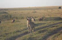  Nairobi park Tour 6.A.M-11.AM