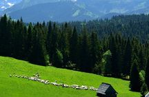 ZAKOPANE & TATRA Mountains Tour from Krakow
