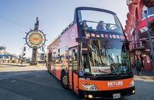 2 Day Hop-On Hop-Off Tour Plus Night Tour
