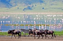 Lake Manyara National Park Full-Day Tour from Arusha