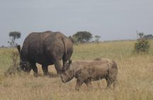 2 Nights/3days Budget Package Maasai Mara In Self Contained Tented Camps