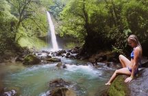 Arenal Highlights: Hanging Bridges, La Fortuna Waterfall, Volcano