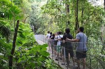 Arenal Highlights: Hanging Bridges, La Fortuna Waterfall, Volcano