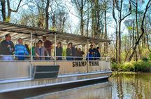 Swamp Boat Ride and Oak Alley Plantation Tour from New Orleans