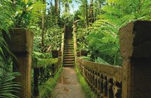 Day Tour to Paronella Park, Lake Barrine and Millaa Millaa Falls