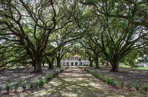 Whitney Plantation Tour with Transportation from New Orleans