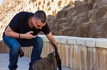 2-Day in Cairo and Giza