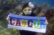 Diving in the Mexican Caribbean for Beginners | 2 Tanks 2 Dives | All Inclusive 