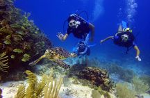 Diving in the Mexican Caribbean for Beginners | 2 Tanks 2 Dives | All Inclusive 