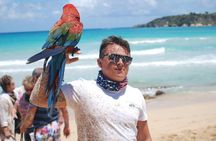 Dune Buggy Adventure by Caribbean Tour Service