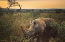 5 Day Kruger National Park and Panorama Route Safari