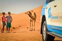 Dubai: Half-Day Desert Safari, Camels, Quad Bike & Refreshments