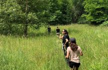 Truffle Hunting with Wine Tasting