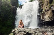 Ubud City Tour I: Monkey Forest, Ubud Palace, Art Market, and Waterfall