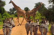 3 Days Tanzania Safari - Emnel Adventures