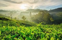 6 Days Private Tour Kerala Natural Retreat