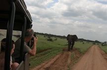 Kruger National Park Private Full-Day Safari - Private Safari Vehicle & Guide