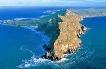 Cape Point and Boulder's Penguins Full Day Tour