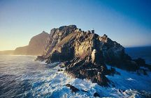 Full Day Cape Point Sightseeing Tour