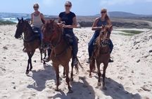 Horseback Riding 2 Hr SUNSET , Rock formation & North Coast Ride