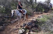 Horseback Riding 2 Hr SUNSET , Rock formation & North Coast Ride