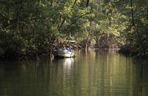 Damas Mangroove Boat Tour from Manuel Antonio