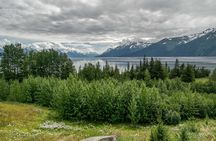 Alaska Wildlife Day Tour with Free Hotel Pickup