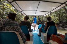 Damas Mangroove Boat Tour from Manuel Antonio