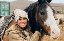 Las Vegas Horseback Ride with Meal