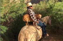 Las Vegas Horseback Ride with Meal