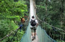 2 days 1 night – Peruvian Tambopata Jungle